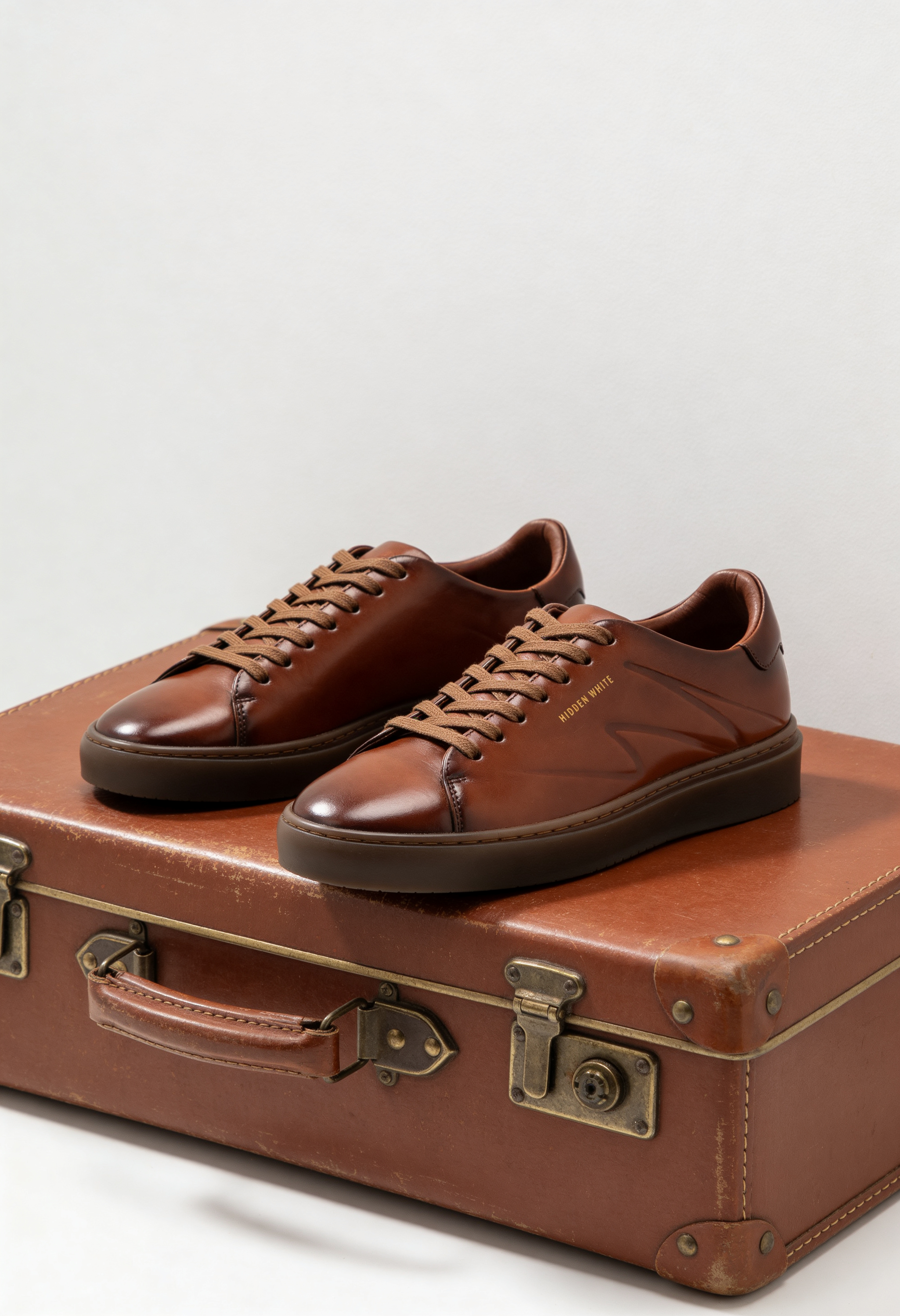 magnific_a-pair-of-dylanbrushbrown_0pgo84lTfW_retouched.png