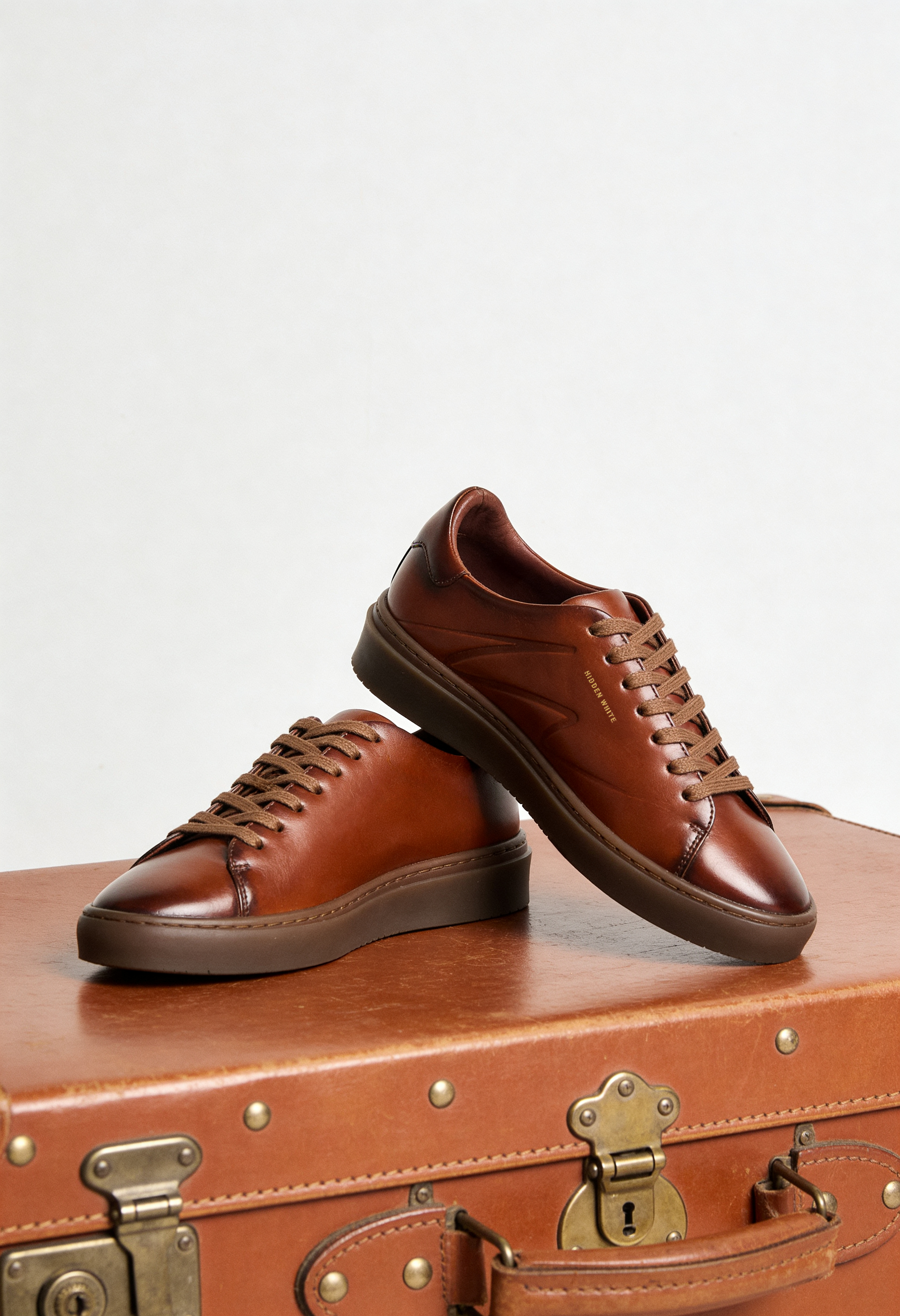 magnific_a-pair-of-dylanbrushbrown_wPhi3qO7EI.png