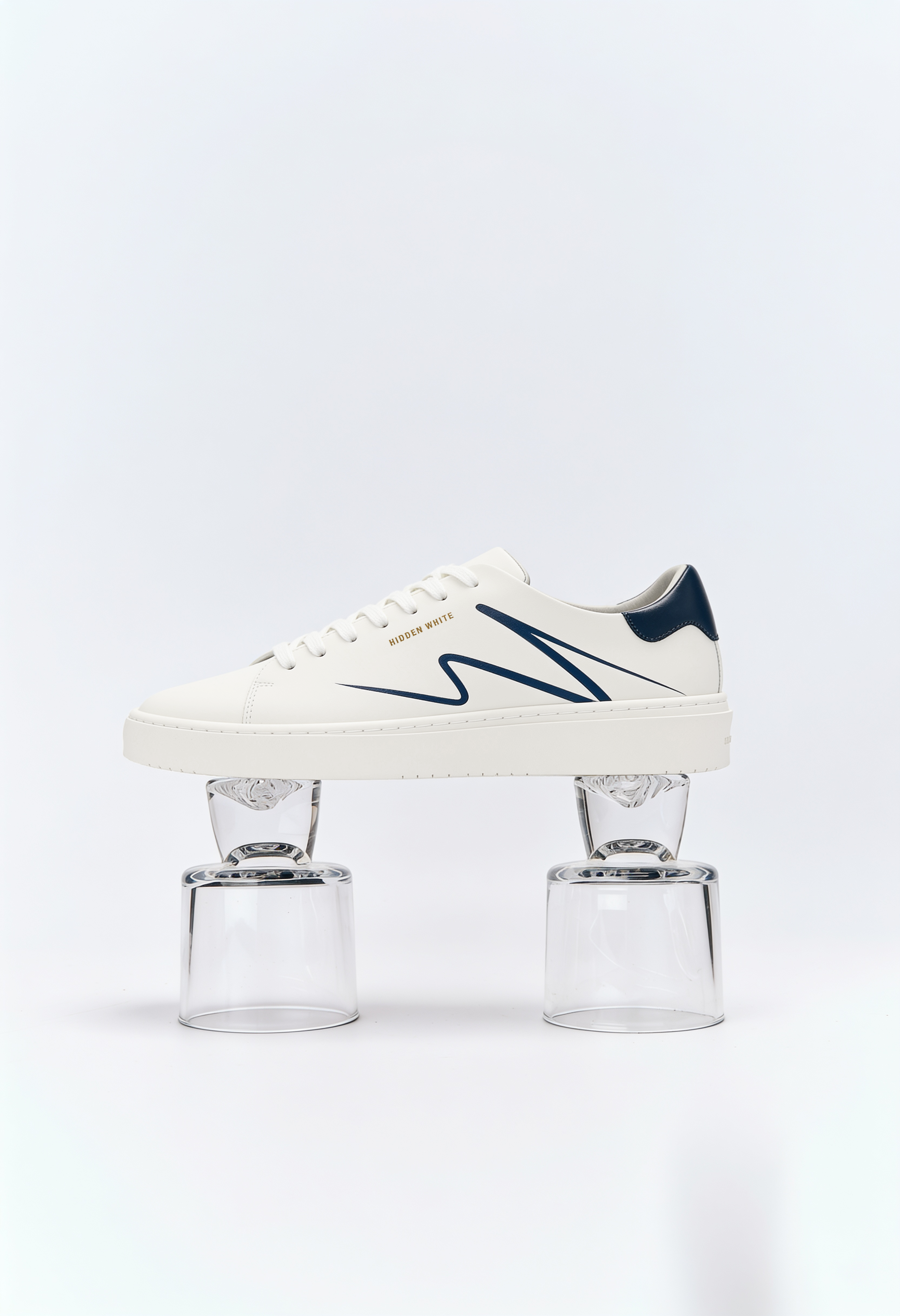 magnific_replace-the-shoe-in-img1-_2978674744.png